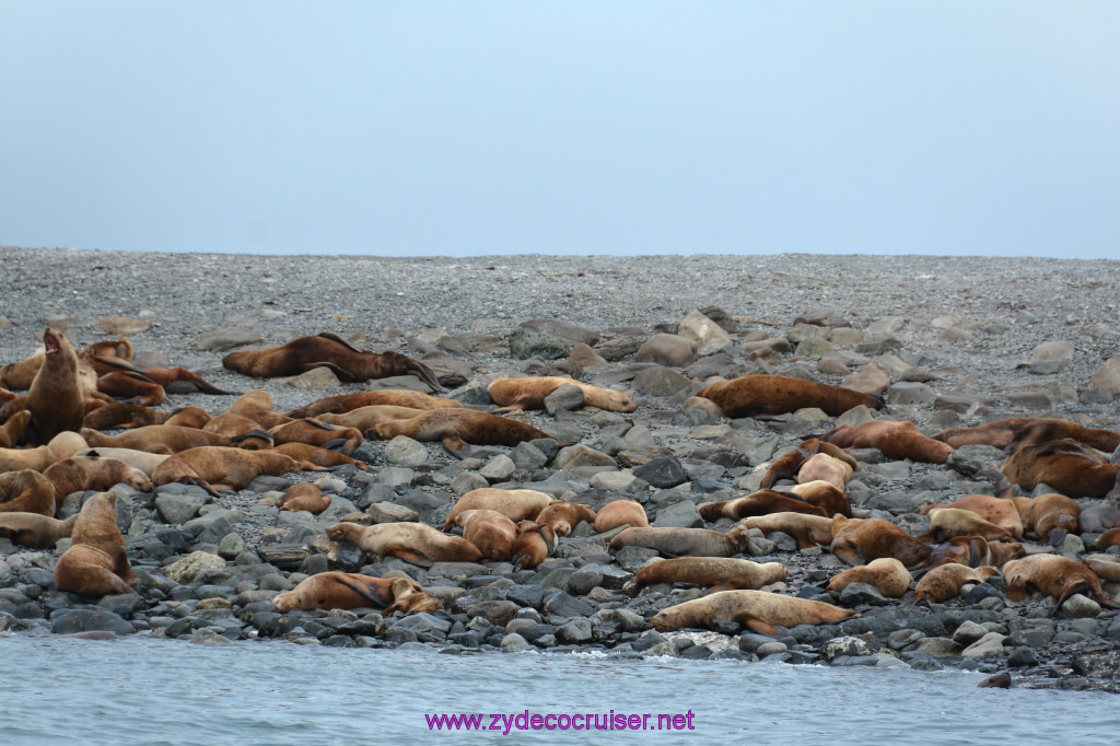 337: Carnival Miracle Alaska Cruise, Juneau, Harv and Marv's Whale Watching, 