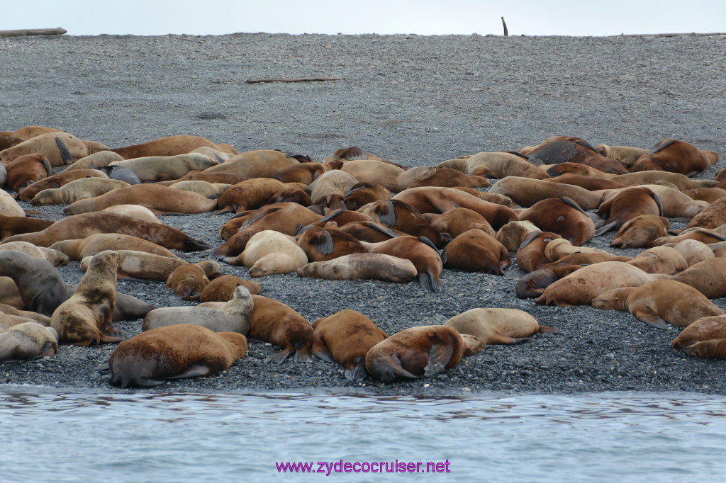 343: Carnival Miracle Alaska Cruise, Juneau, Harv and Marv's Whale Watching, 