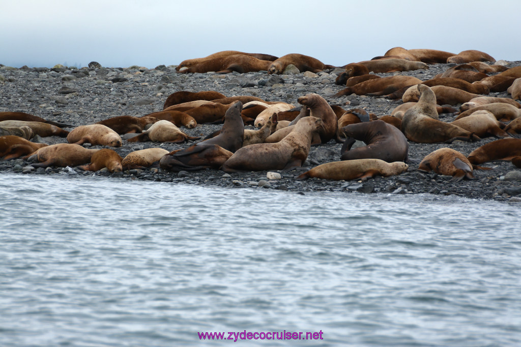 348: Carnival Miracle Alaska Cruise, Juneau, Harv and Marv's Whale Watching, 