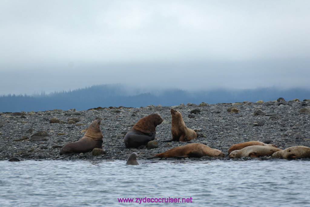 353: Carnival Miracle Alaska Cruise, Juneau, Harv and Marv's Whale Watching, 