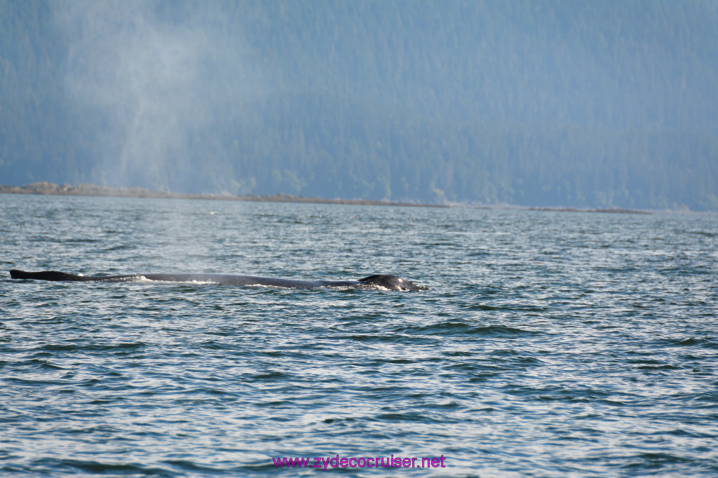 377: Carnival Miracle Alaska Cruise, Juneau, Harv and Marv's Whale Watching, 