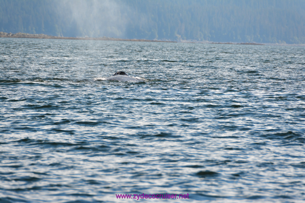 382: Carnival Miracle Alaska Cruise, Juneau, Harv and Marv's Whale Watching, 