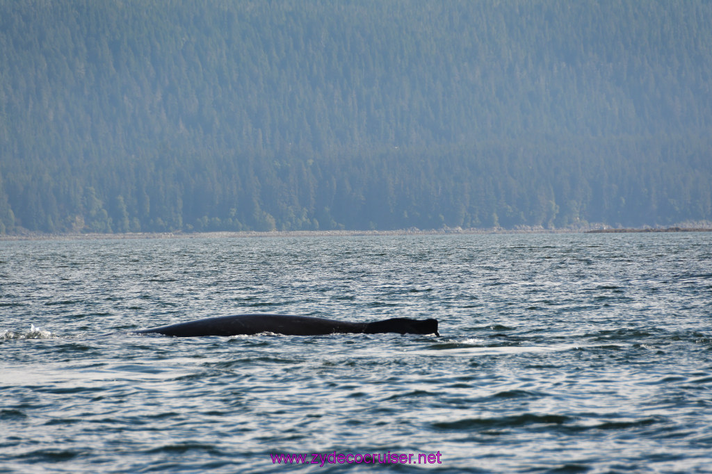 384: Carnival Miracle Alaska Cruise, Juneau, Harv and Marv's Whale Watching, 