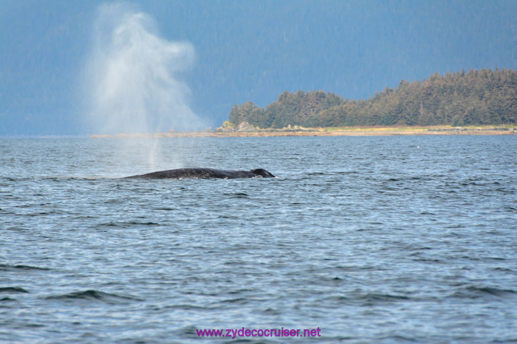 405: Carnival Miracle Alaska Cruise, Juneau, Harv and Marv's Whale Watching, 