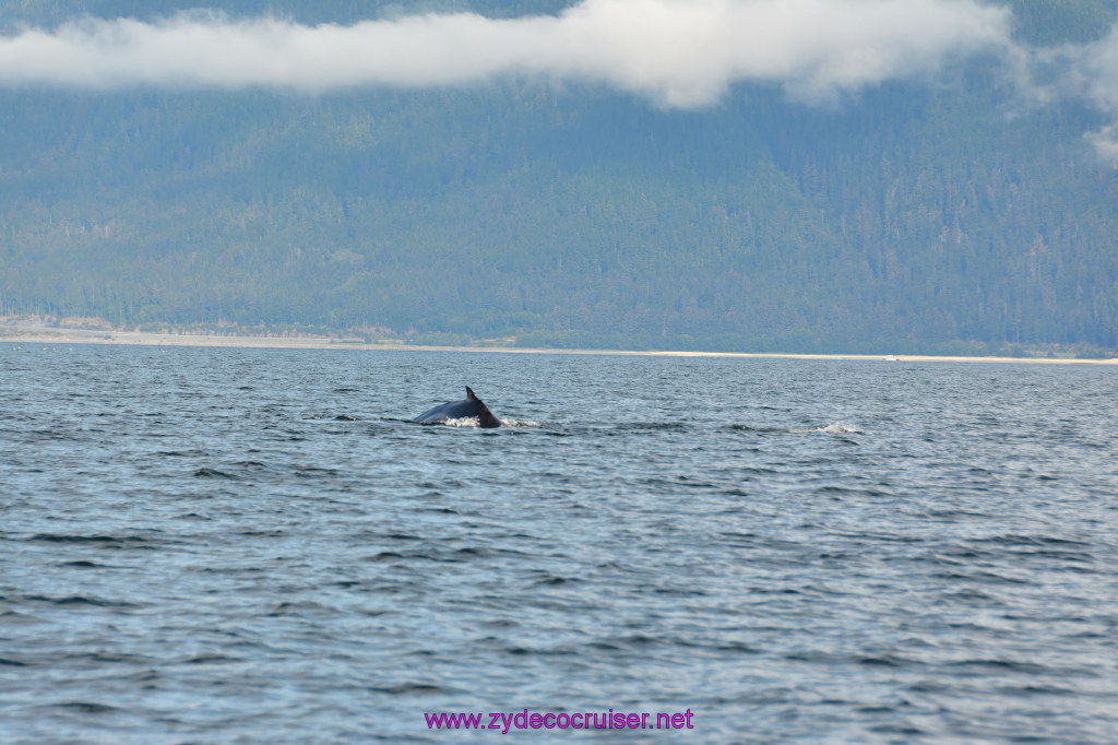 423: Carnival Miracle Alaska Cruise, Juneau, Harv and Marv's Whale Watching, 