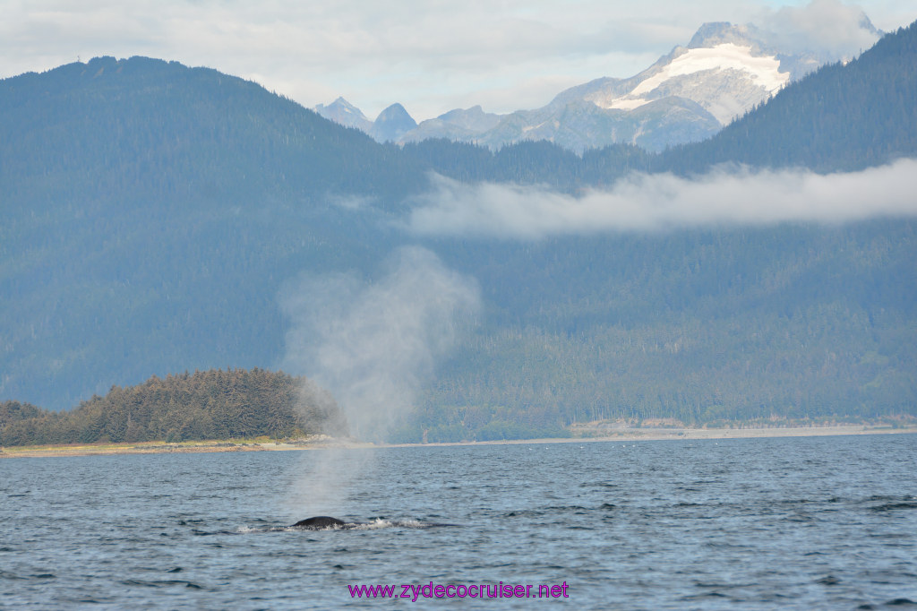 425: Carnival Miracle Alaska Cruise, Juneau, Harv and Marv's Whale Watching, 