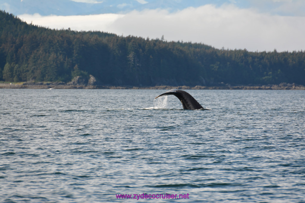 467: Carnival Miracle Alaska Cruise, Juneau, Harv and Marv's Whale Watching, 