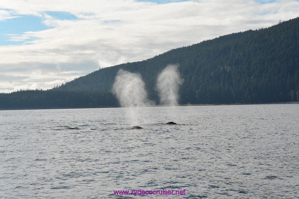 524: Carnival Miracle Alaska Cruise, Juneau, Harv and Marv's Whale Watching, 