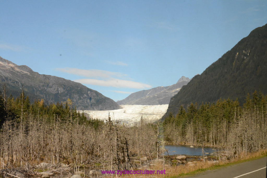 594: Carnival Miracle Alaska Cruise, Juneau, Harv and Marv's Whale Watching, 