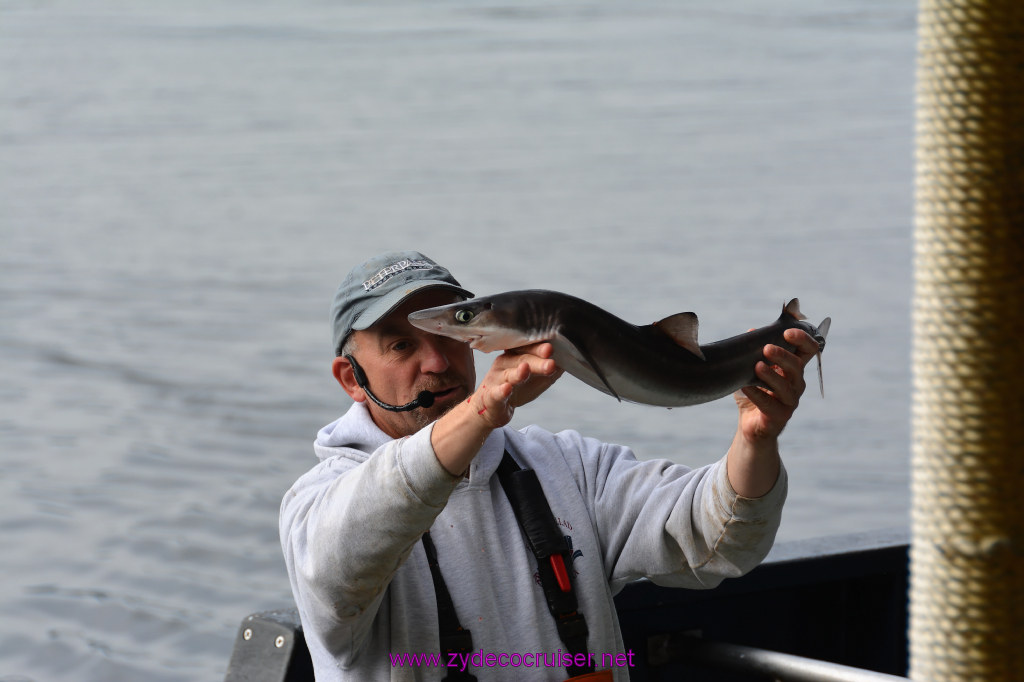 139: Carnival Miracle Alaska Cruise, Ketchikan, Bering Sea Crab Fisherman's Tour, 