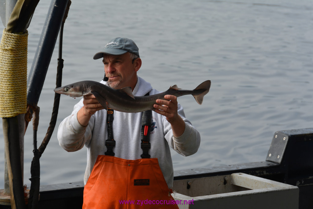 141: Carnival Miracle Alaska Cruise, Ketchikan, Bering Sea Crab Fisherman's Tour, 