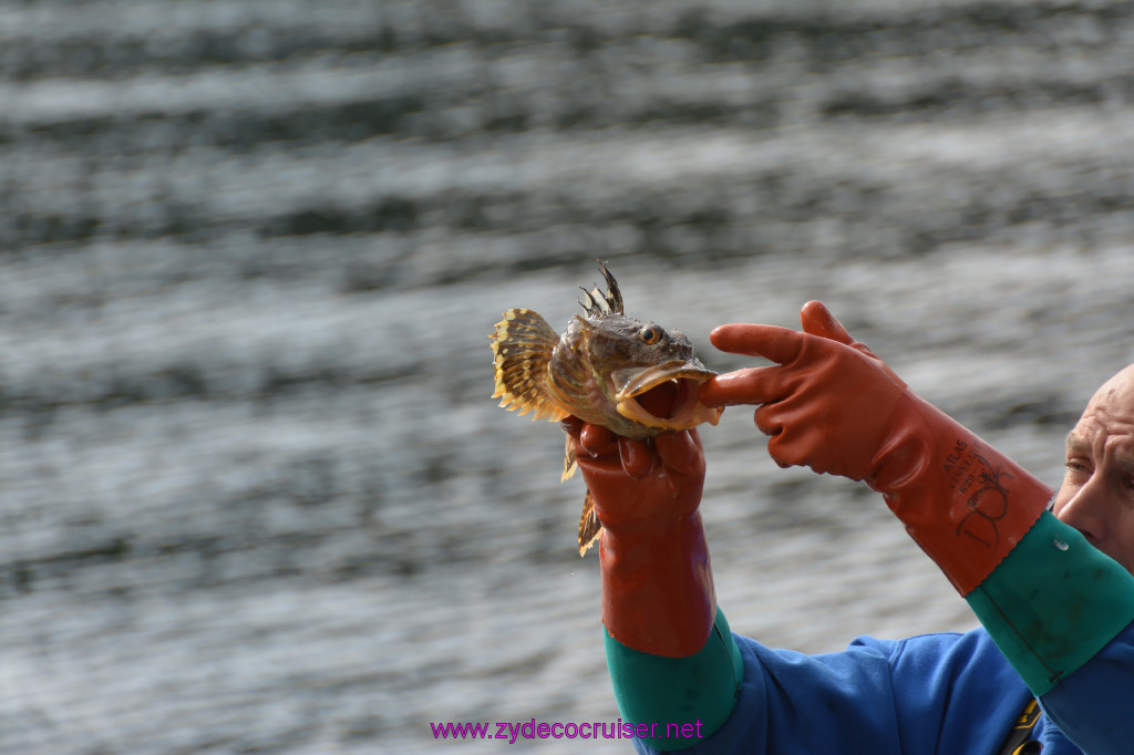 147: Carnival Miracle Alaska Cruise, Ketchikan, Bering Sea Crab Fisherman's Tour, 