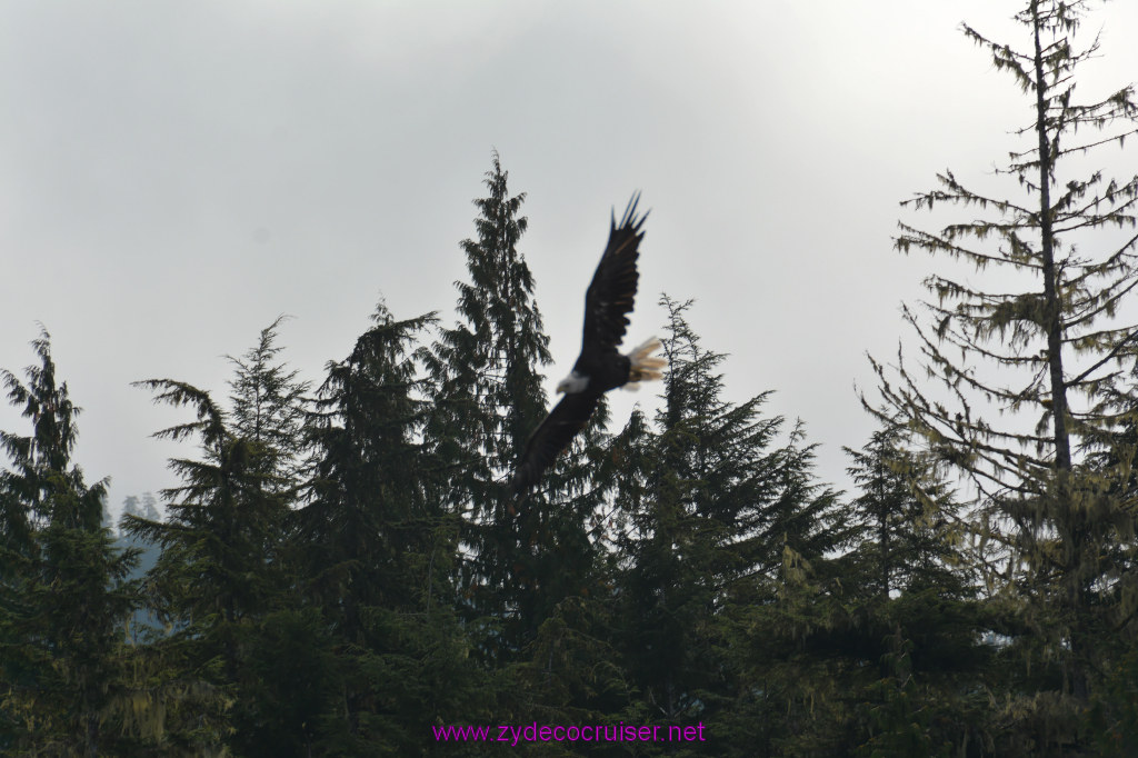 155: Carnival Miracle Alaska Cruise, Ketchikan, Bering Sea Crab Fisherman's Tour, 