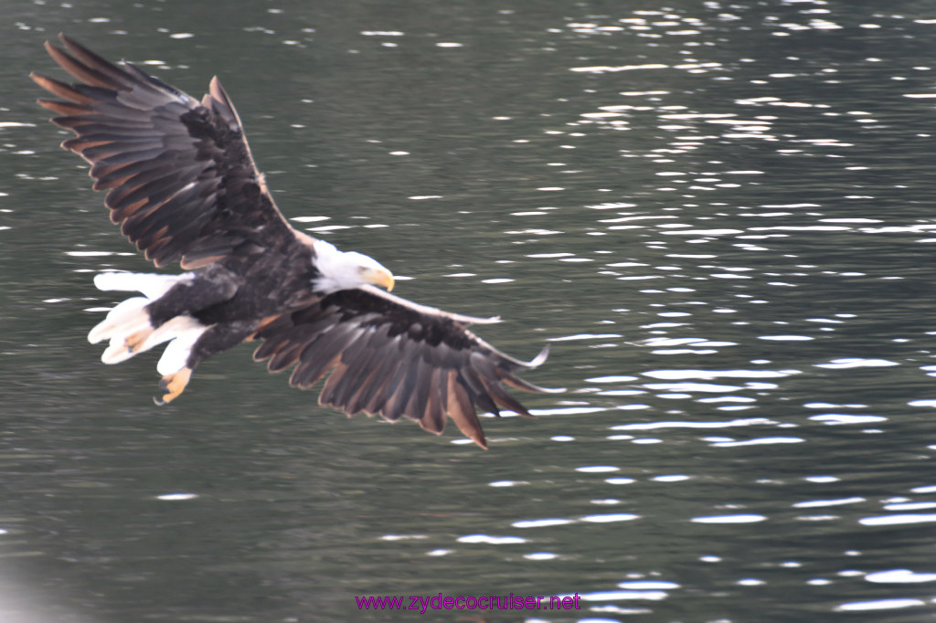 159: Carnival Miracle Alaska Cruise, Ketchikan, Bering Sea Crab Fisherman's Tour, 