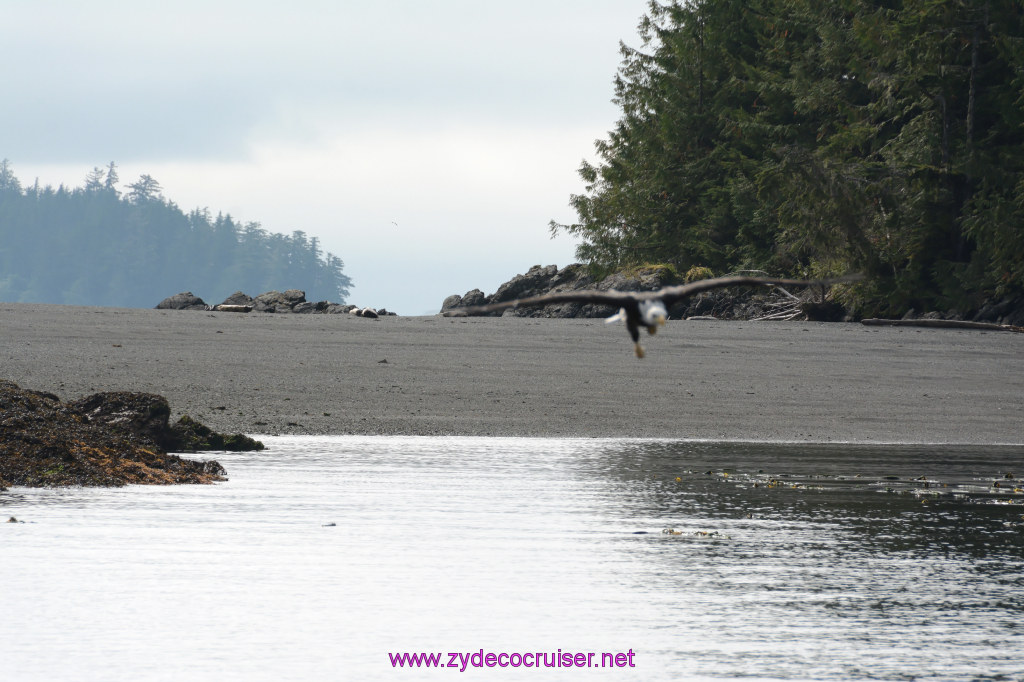 168: Carnival Miracle Alaska Cruise, Ketchikan, Bering Sea Crab Fisherman's Tour, 