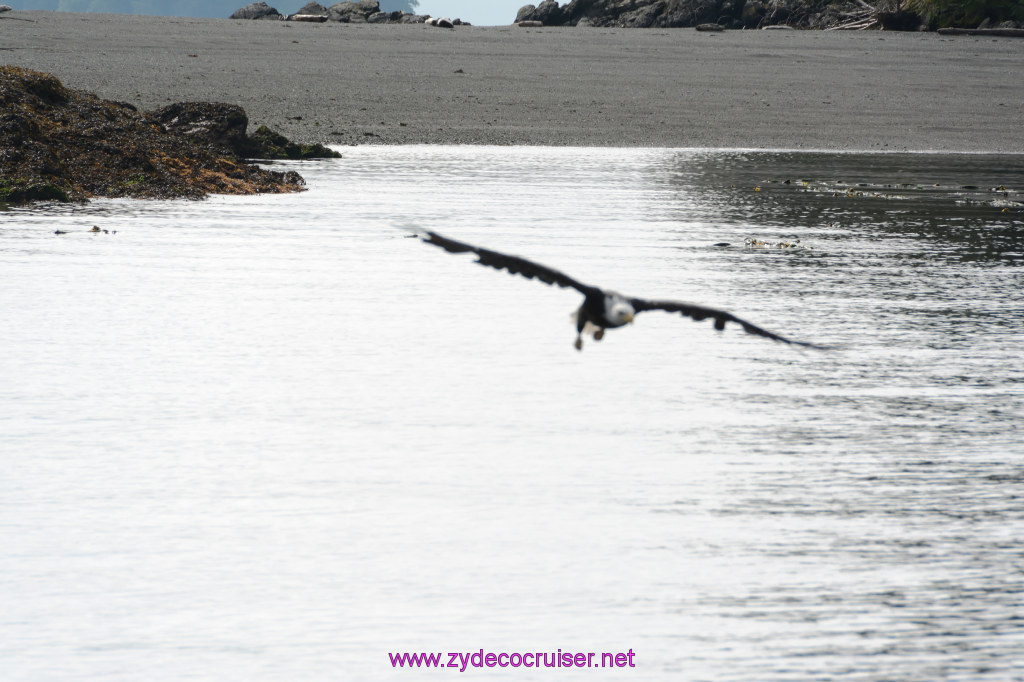 170: Carnival Miracle Alaska Cruise, Ketchikan, Bering Sea Crab Fisherman's Tour, 