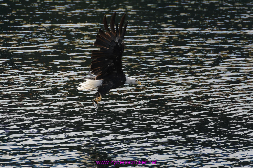 174: Carnival Miracle Alaska Cruise, Ketchikan, Bering Sea Crab Fisherman's Tour, 