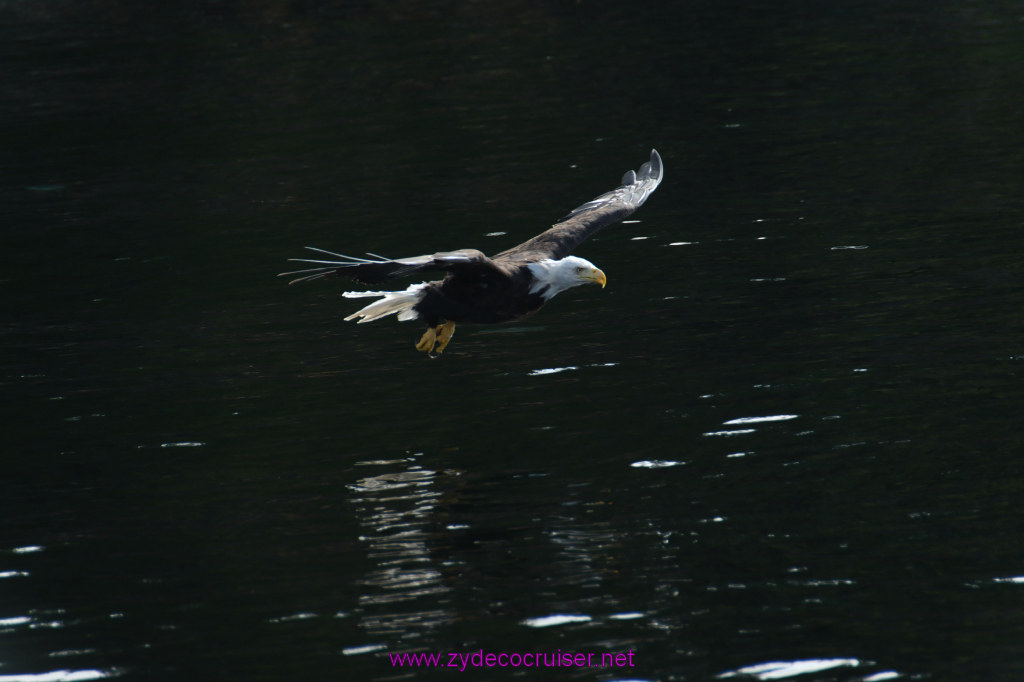 191: Carnival Miracle Alaska Cruise, Ketchikan, Bering Sea Crab Fisherman's Tour, 