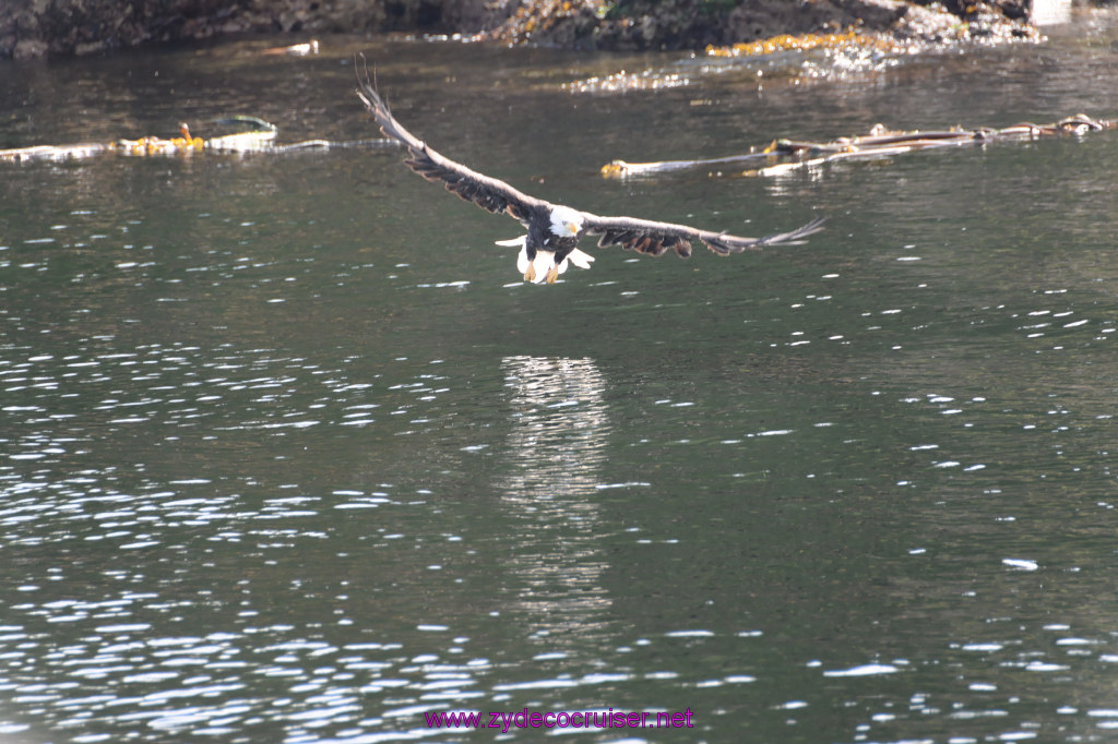 201: Carnival Miracle Alaska Cruise, Ketchikan, Bering Sea Crab Fisherman's Tour, 