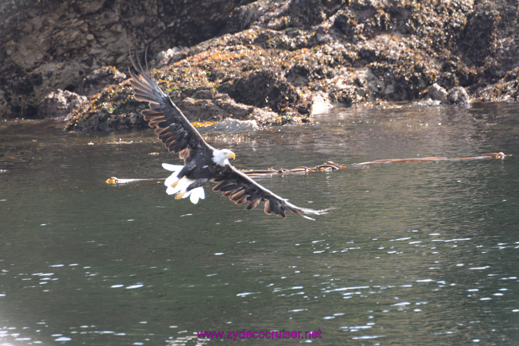 203: Carnival Miracle Alaska Cruise, Ketchikan, Bering Sea Crab Fisherman's Tour, 