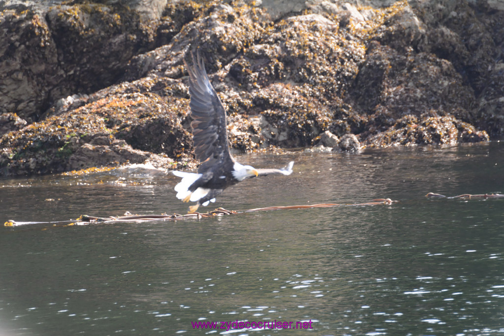 204: Carnival Miracle Alaska Cruise, Ketchikan, Bering Sea Crab Fisherman's Tour, 