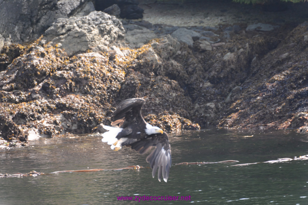 205: Carnival Miracle Alaska Cruise, Ketchikan, Bering Sea Crab Fisherman's Tour, 