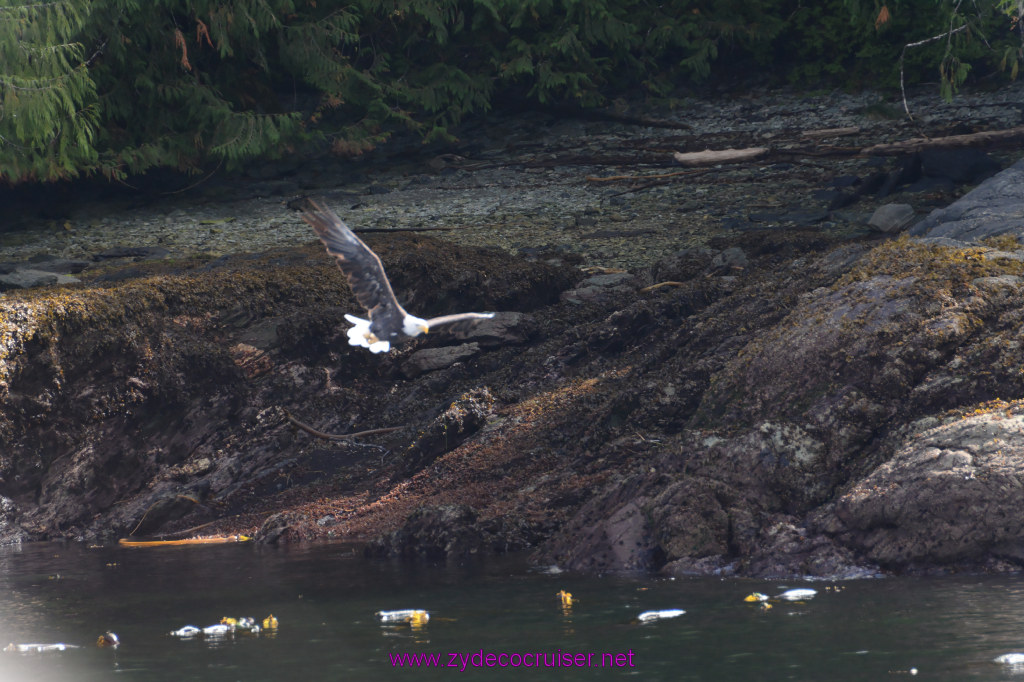 214: Carnival Miracle Alaska Cruise, Ketchikan, Bering Sea Crab Fisherman's Tour, 