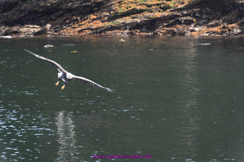 225: Carnival Miracle Alaska Cruise, Ketchikan, Bering Sea Crab Fisherman's Tour, 