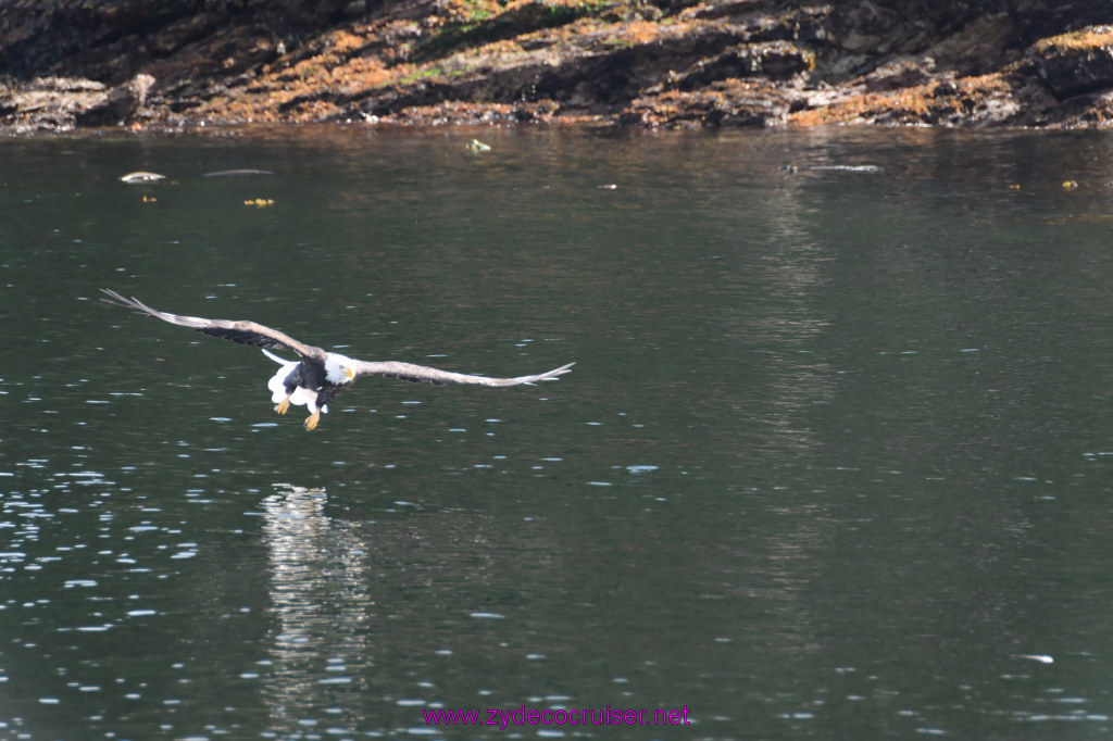 226: Carnival Miracle Alaska Cruise, Ketchikan, Bering Sea Crab Fisherman's Tour, 