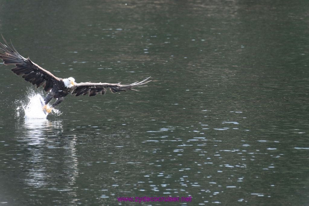 227: Carnival Miracle Alaska Cruise, Ketchikan, Bering Sea Crab Fisherman's Tour, 