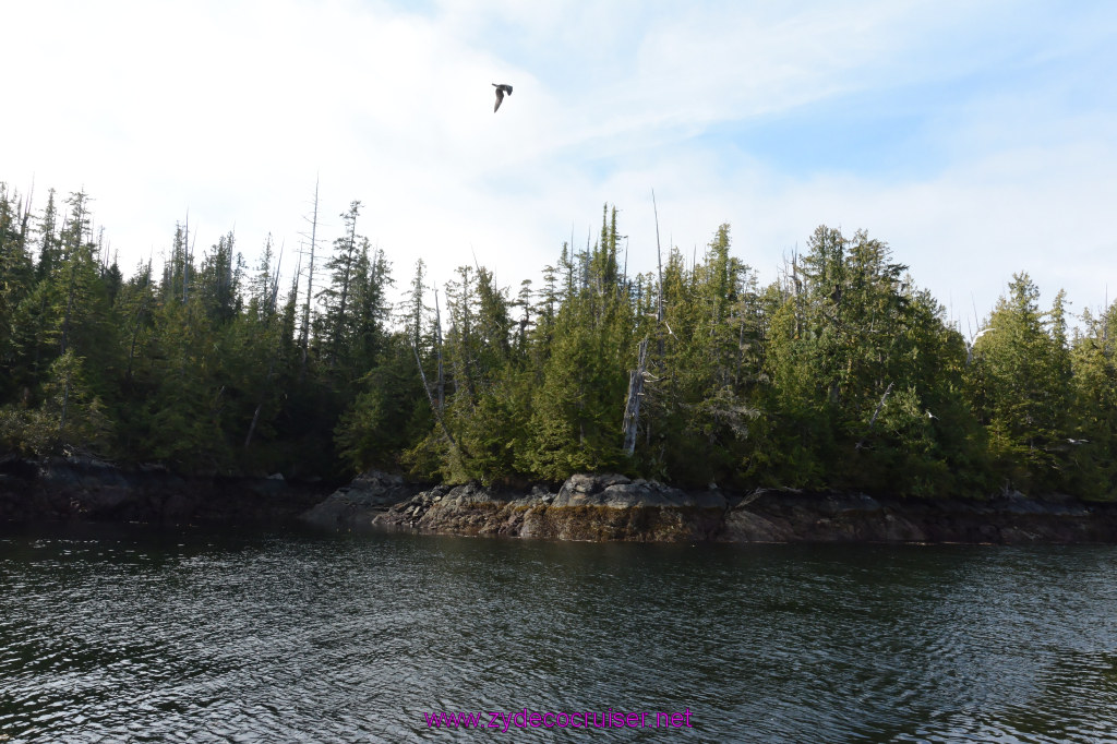 246: Carnival Miracle Alaska Cruise, Ketchikan, Bering Sea Crab Fisherman's Tour, 