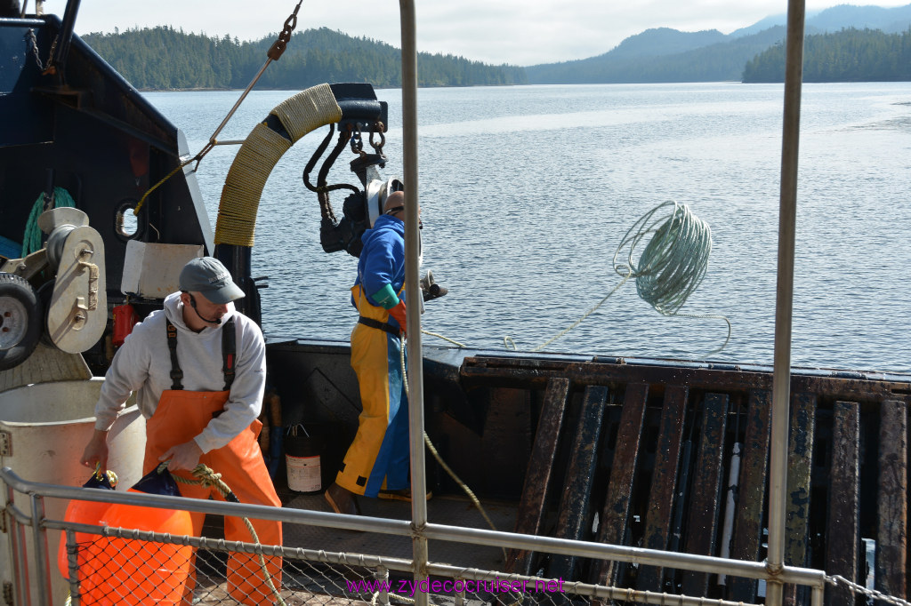 290: Carnival Miracle Alaska Cruise, Ketchikan, Bering Sea Crab Fisherman's Tour, 