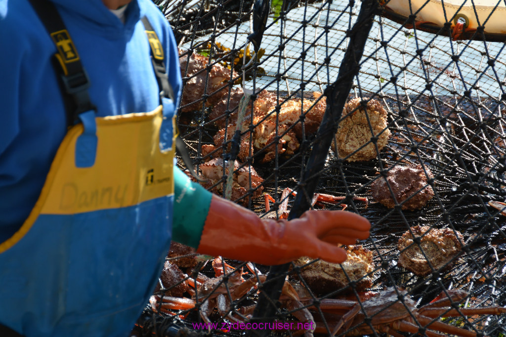 321: Carnival Miracle Alaska Cruise, Ketchikan, Bering Sea Crab Fisherman's Tour, 