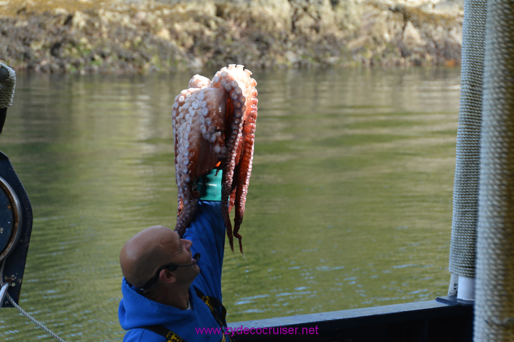 478: Carnival Miracle Alaska Cruise, Ketchikan, Bering Sea Crab Fisherman's Tour, 