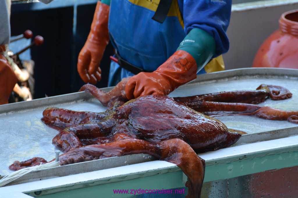 490: Carnival Miracle Alaska Cruise, Ketchikan, Bering Sea Crab Fisherman's Tour, 