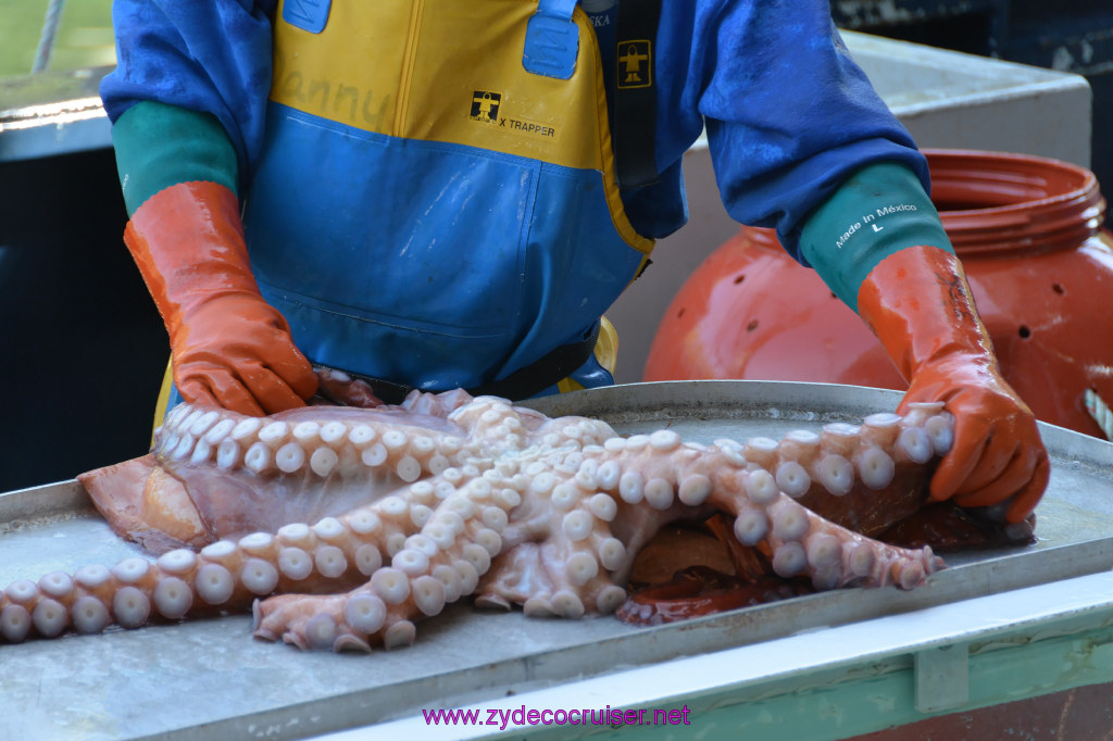 494: Carnival Miracle Alaska Cruise, Ketchikan, Bering Sea Crab Fisherman's Tour, 