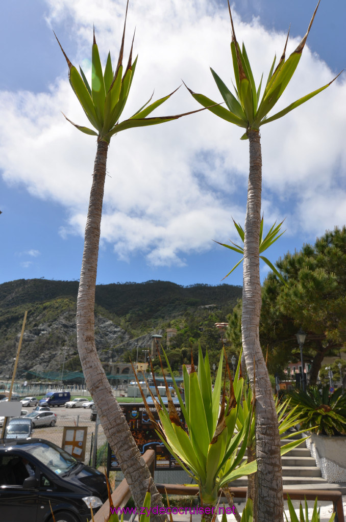 352: Carnival Sunshine Cruise, La Spezia, Cinque Terre Tour, Monterosso, 