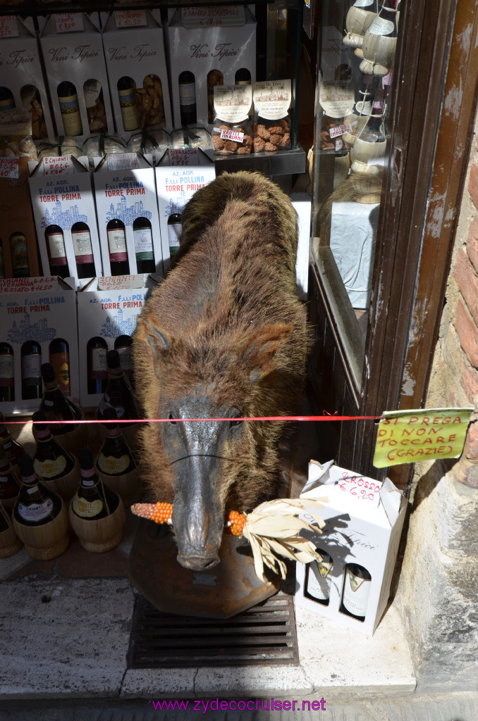 135: Carnival Sunshine Cruise, Livorno, San Gimignano, 