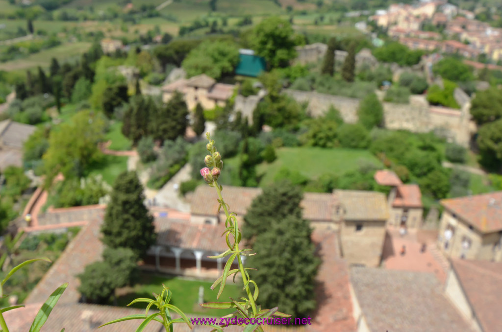 203: Carnival Sunshine Cruise, Livorno, San Gimignano, View from the top of Torre Grosso, the Bell Tower, 