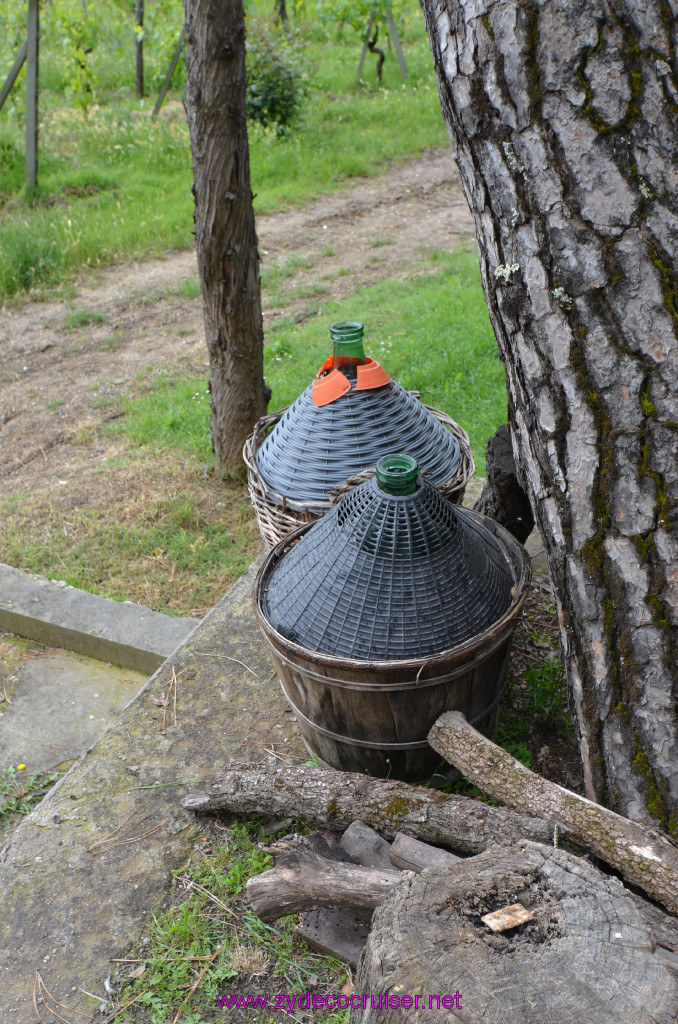 274: Carnival Sunshine Cruise, Livorno, Fattoria il Plano San Gimignano, Carlesi Zucconi Family Winery, 