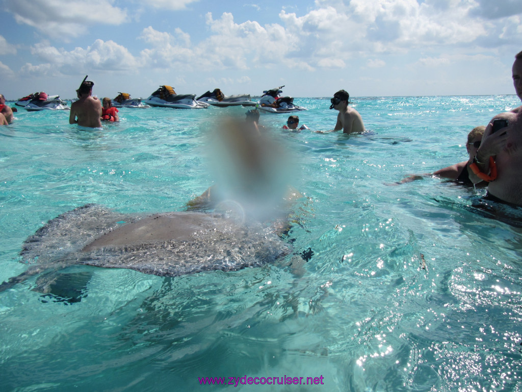 131: Carnival Sunshine Cruise, Nov 21, 2013, Grand Cayman, Sotos Cruises, Sting Ray Sandbar, 