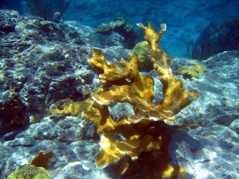 086: Sailing Yacht Arabella - British Virgin Islands - Snorkeling at The Indians