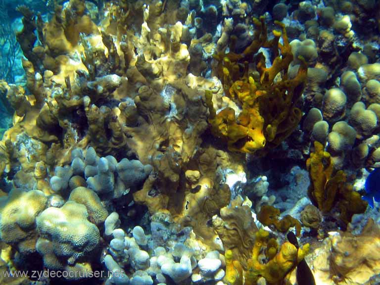 093: Sailing Yacht Arabella - British Virgin Islands - Snorkeling at The Indians