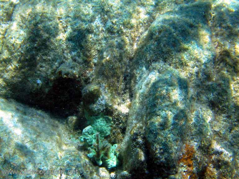 095: Sailing Yacht Arabella - British Virgin Islands - Snorkeling at The Indians