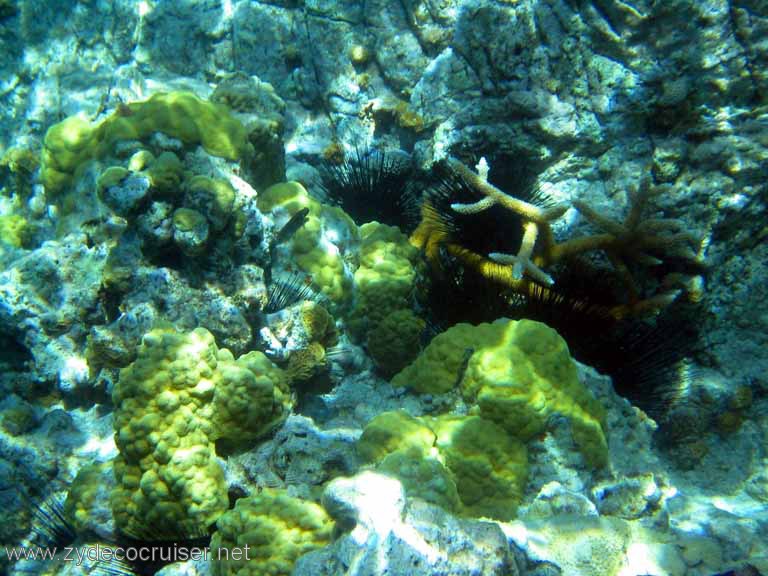 099: Sailing Yacht Arabella - British Virgin Islands - Snorkeling at The Indians