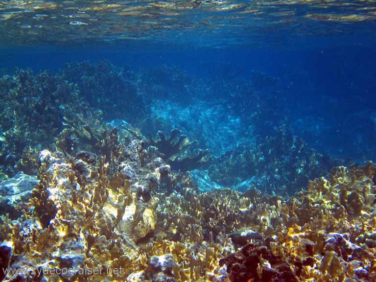 103: Sailing Yacht Arabella - British Virgin Islands - Snorkeling at The Indians