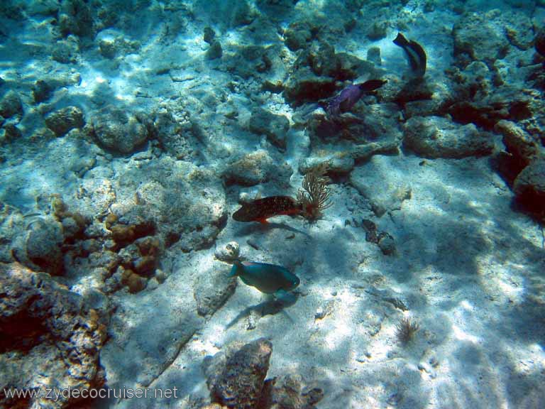 111: Sailing Yacht Arabella - British Virgin Islands - Snorkeling at The Indians