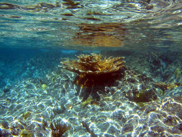 112: Sailing Yacht Arabella - British Virgin Islands - Snorkeling at The Indians