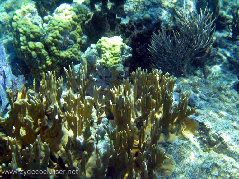 116: Sailing Yacht Arabella - British Virgin Islands - Snorkeling at The Indians