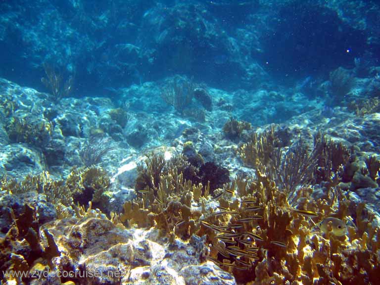 118: Sailing Yacht Arabella - British Virgin Islands - Snorkeling at The Indians